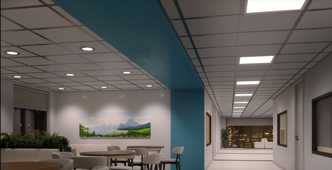 Luminaire LED’s, Acuity Brands